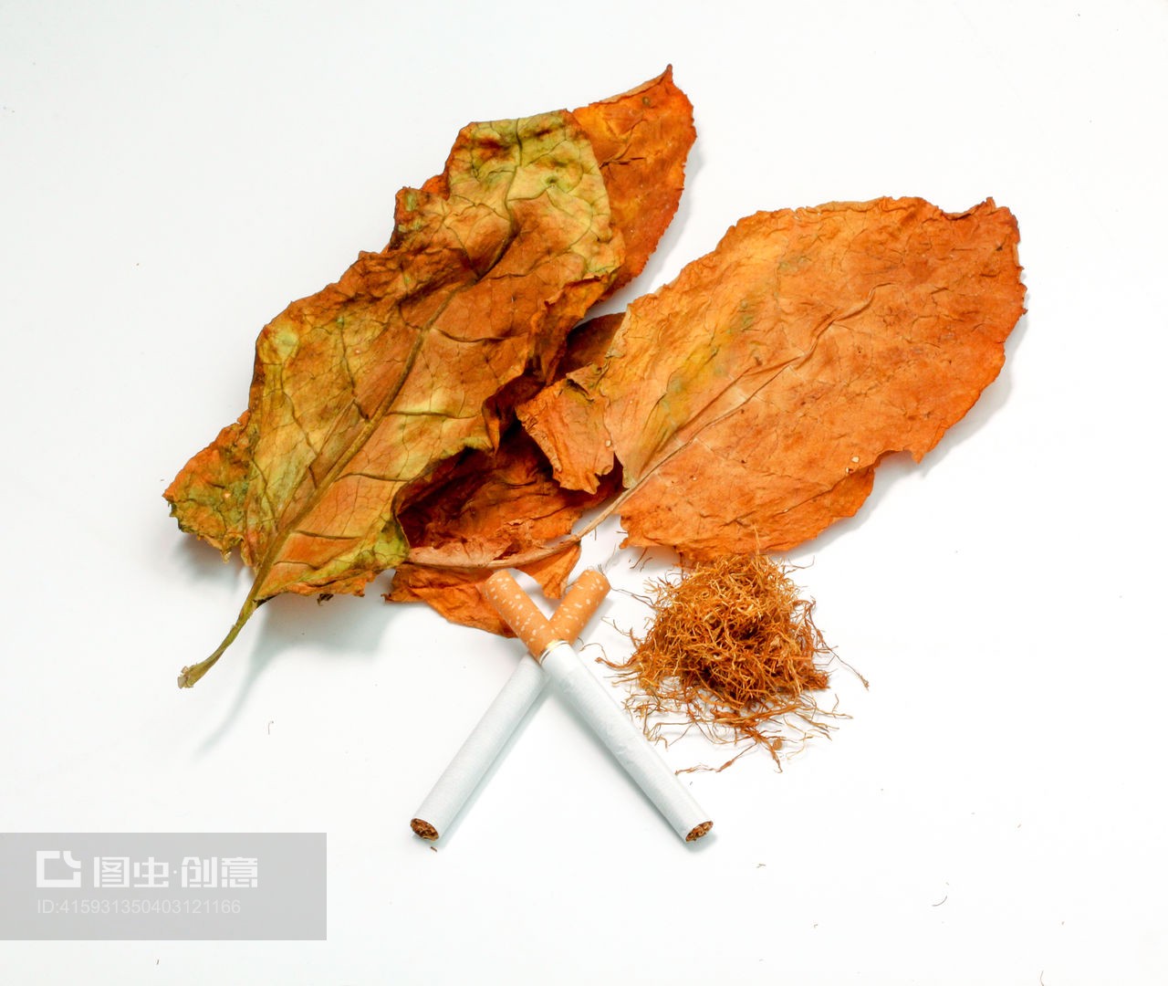 白底上的沉思 干葉與香煙的對話